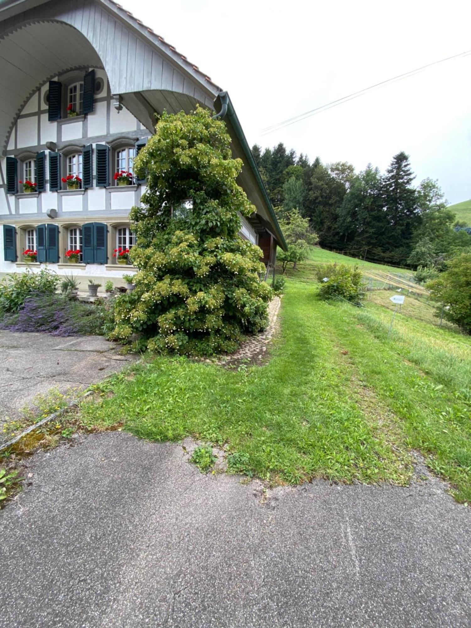 B&B Tannen124 Oberburg Ngoại thất bức ảnh